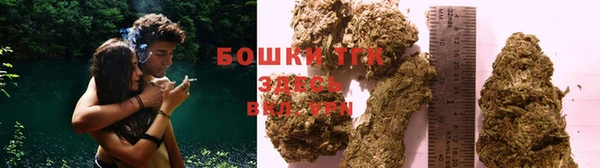 индика Арсеньев