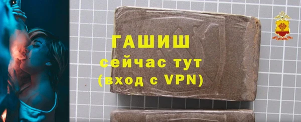 индика Арсеньев