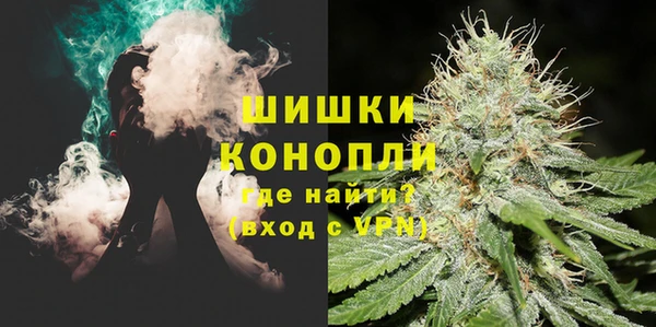 индика Арсеньев