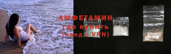 индика Арсеньев